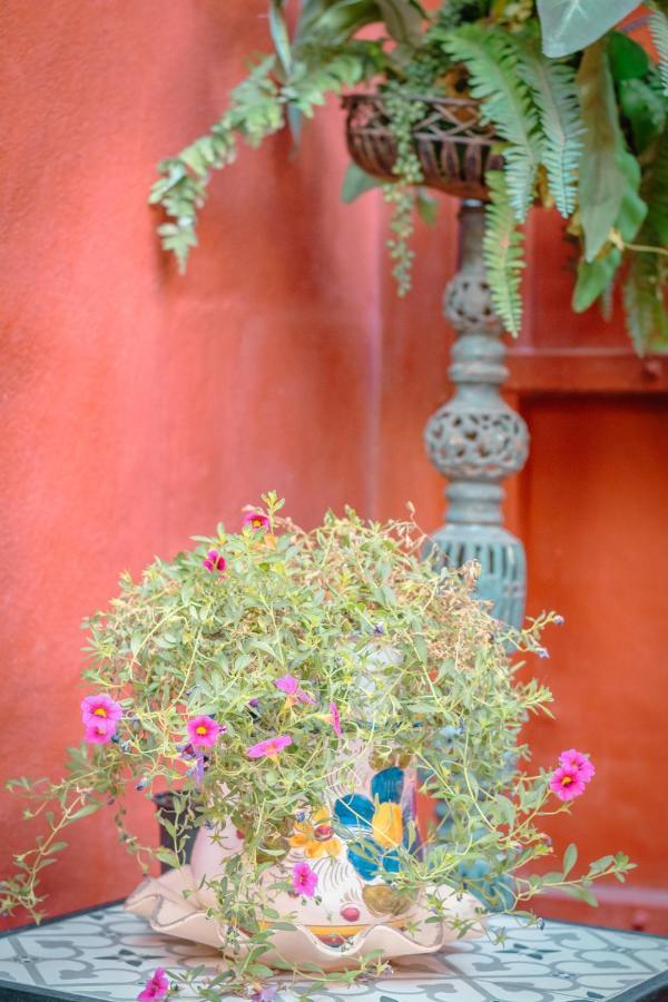 Flatguest Casa Del Sol - Terrace - Parking Villa Las Palmas de Gran Canaria Luaran gambar